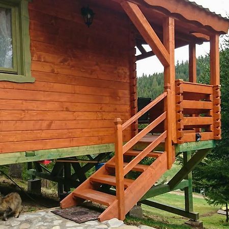 Cabana Casa Craita Zărneşti Exteriör bild