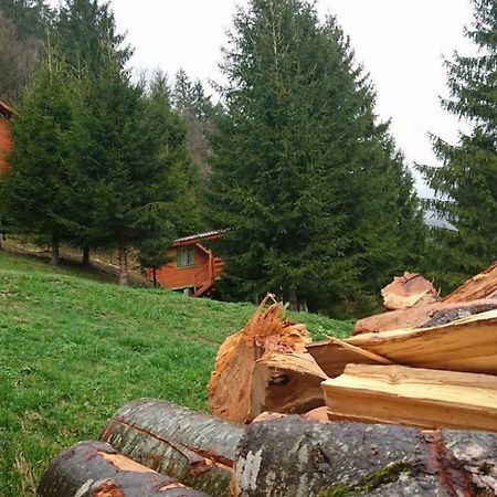 Cabana Casa Craita Zărneşti Exteriör bild