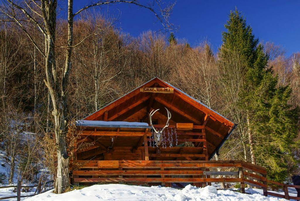 Cabana Casa Craita Zărneşti Rum bild