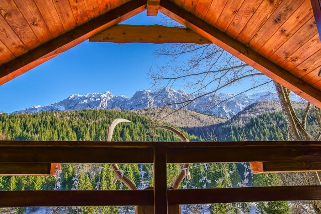 Cabana Casa Craita Zărneşti Rum bild