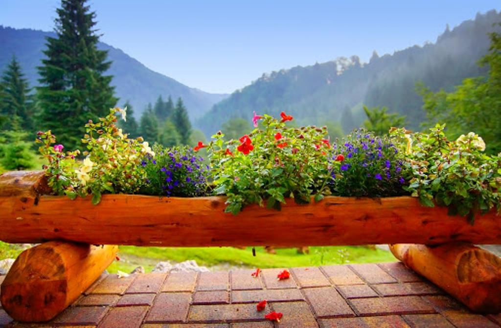 Cabana Casa Craita Zărneşti Rum bild
