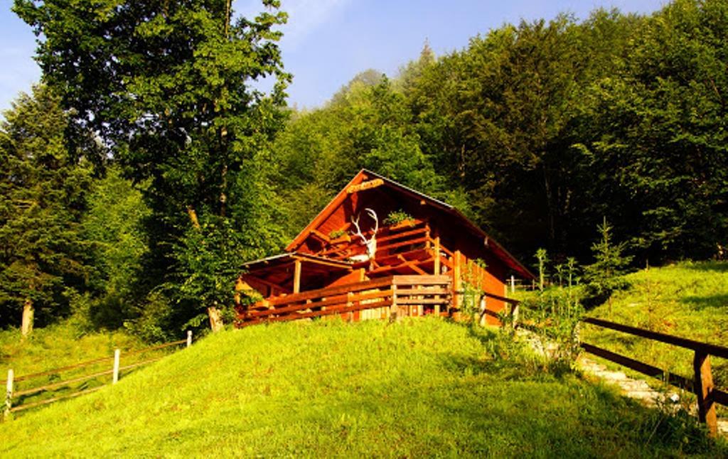 Cabana Casa Craita Zărneşti Rum bild