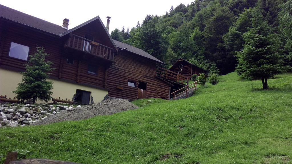 Cabana Casa Craita Zărneşti Exteriör bild