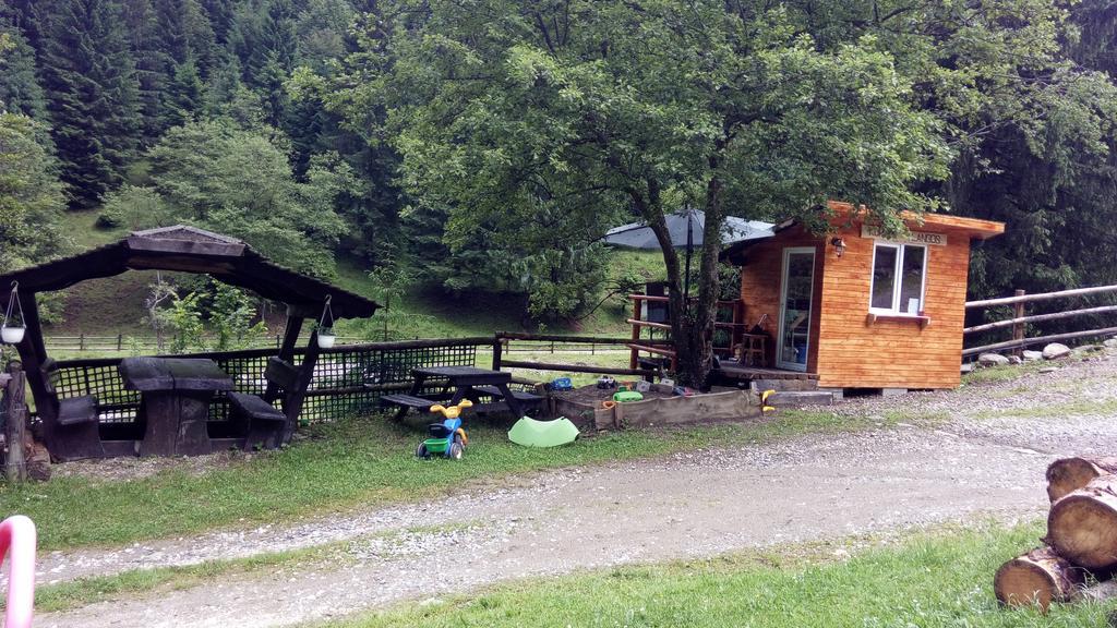 Cabana Casa Craita Zărneşti Exteriör bild