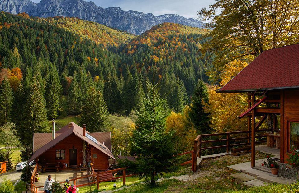 Cabana Casa Craita Zărneşti Exteriör bild