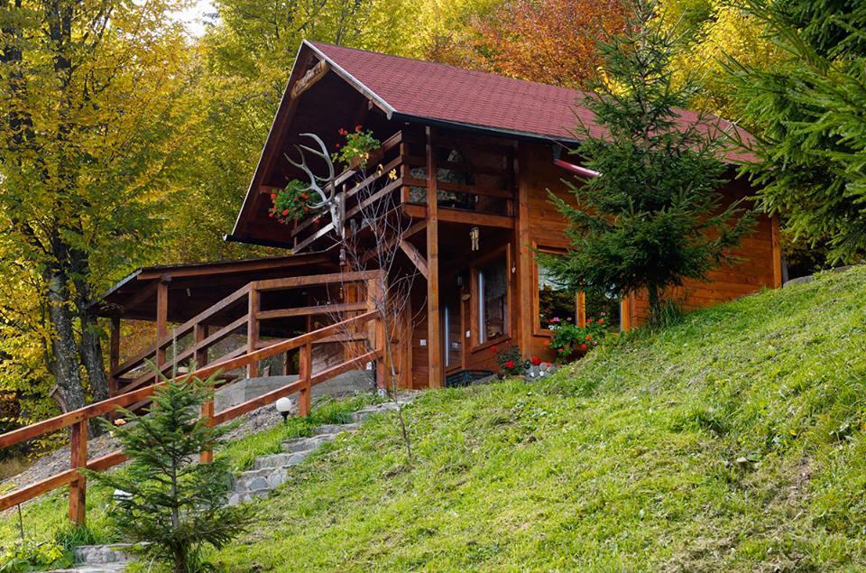 Cabana Casa Craita Zărneşti Exteriör bild
