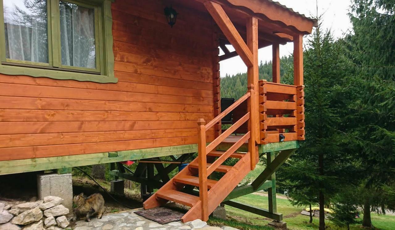 Cabana Casa Craita Zărneşti Exteriör bild