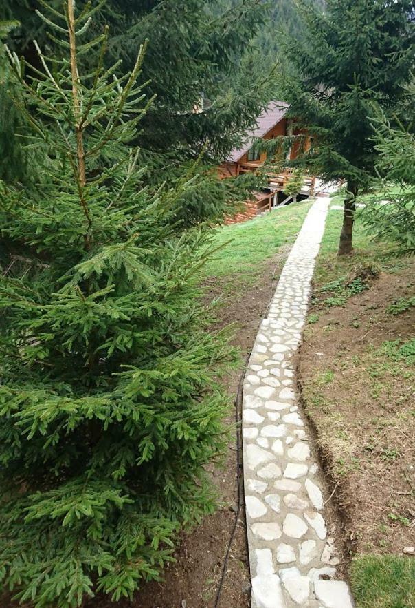 Cabana Casa Craita Zărneşti Exteriör bild