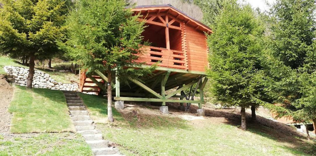 Cabana Casa Craita Zărneşti Exteriör bild